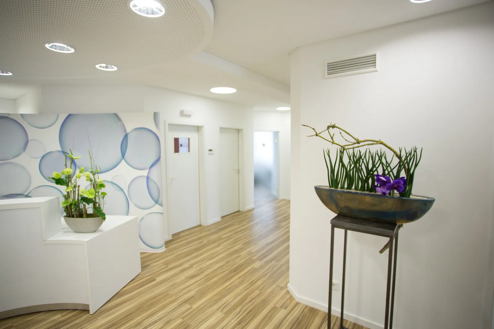 Heller Flur mit Wandgestaltung und Pflanzenschale